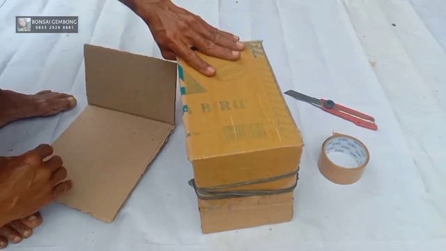Packing Bahan Bonsai Sancang смотреть онлайн