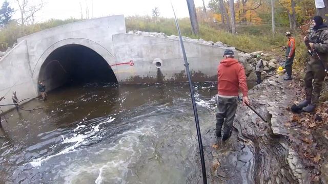 Форелевый рай существует. Ноябрь 2017 смотреть онлайн