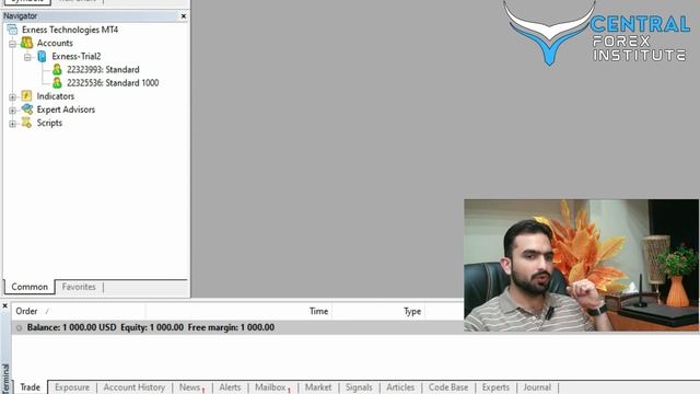 How to use Multiple accounts on same MT4 - MT5 [Urdu-Hindi] | Central Forex Institute. смотреть онлайн