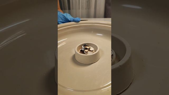 Интересный опыт в домашних условиях "Фараоновы змеи" смотреть онлайн