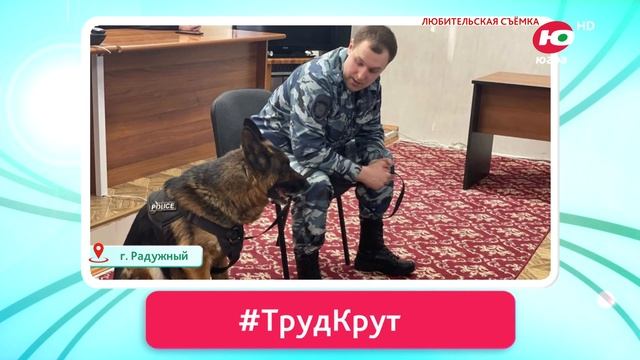 г. Радужный «Все профессии важны» смотреть онлайн