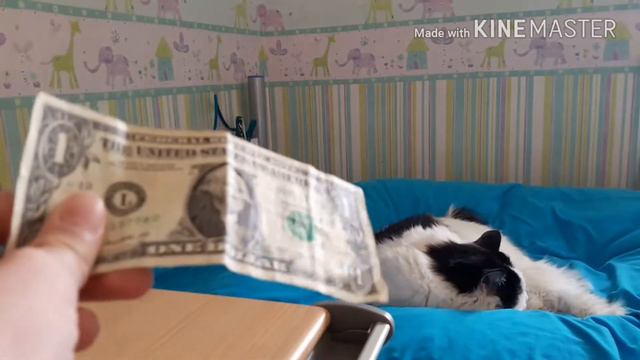 Скоро новое видео( но это не точно) смотреть онлайн