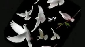 Я весь мир отдам за неё!!!