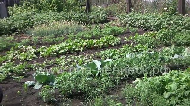 Награждение победителей конкурса «Лучший плательщик» от СКЭК смотреть онлайн