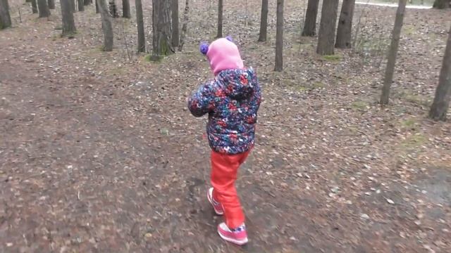 Белки едят с рук. Что выберут белочки, арахис, фундук, или сушёные грибы? Узнаете на канале УльТиВи смотреть онлайн