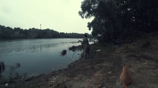 Дождался клева на Десне смотреть онлайн