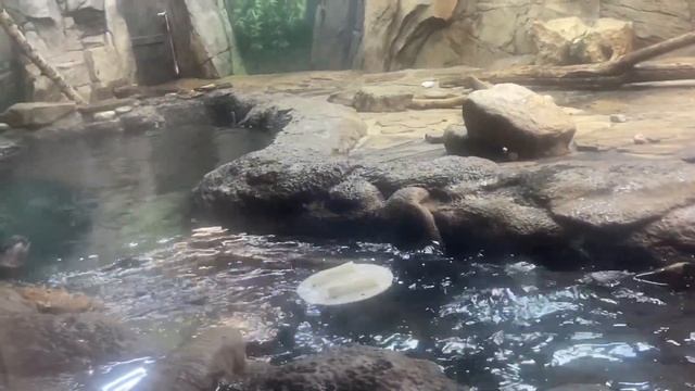 Москвариум - 80 панорамных аквариумов. смотреть онлайн