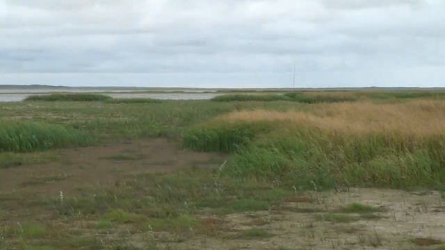 Водномоторная Радиоэкспедиция «Енисей-Обь-Енисей» 9.Обская губа о.Ямпугор 28.08-2.09.2012г. смотреть онлайн