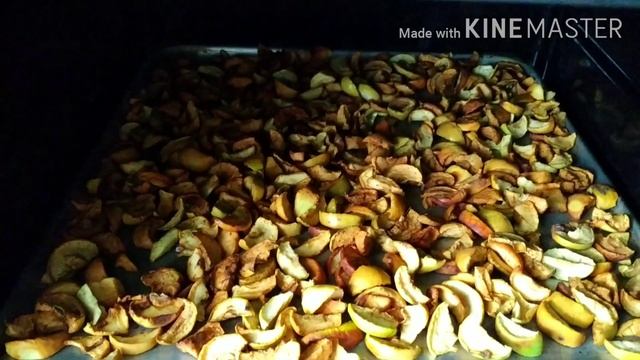 Веганские Ресторанчики и Кафе