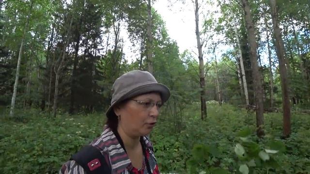 Адская жара, в лес за малиной после работы. 17 июля 2020. смотреть онлайн