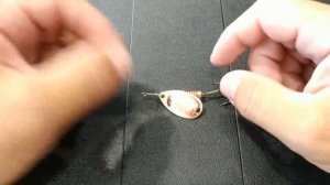 Видеообзор универсальной вертушки Mepps Aglia №3 по заказу Fmagazin