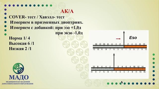Тесты для близи смотреть онлайн