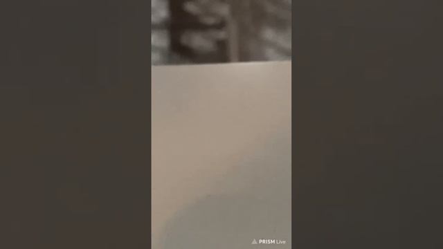 Север г. Мурманск - Строитель г. Сыктывкар смотреть онлайн