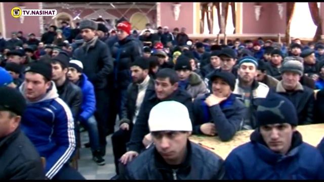 Расскажите все о тарикате