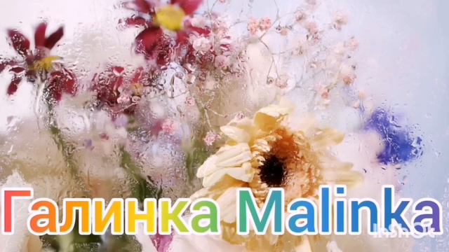 Ольга Уралочка live /Тупое создание, закрой рот /Обзор Влогов /Уралочка и Сафар / смотреть онлайн