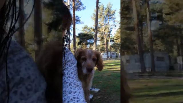 Кемпинги в Испании и Португалии. Видео в формате сторис смотреть онлайн