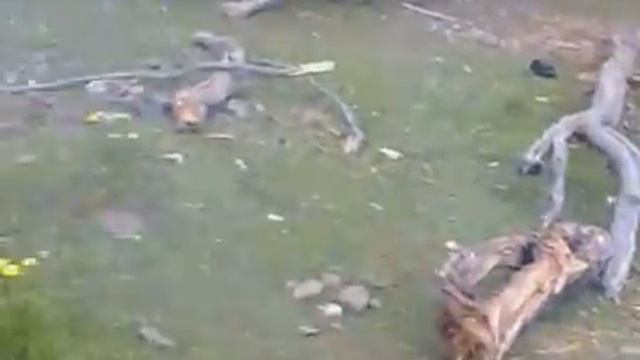 Raxmatullo Safarov смотреть онлайн