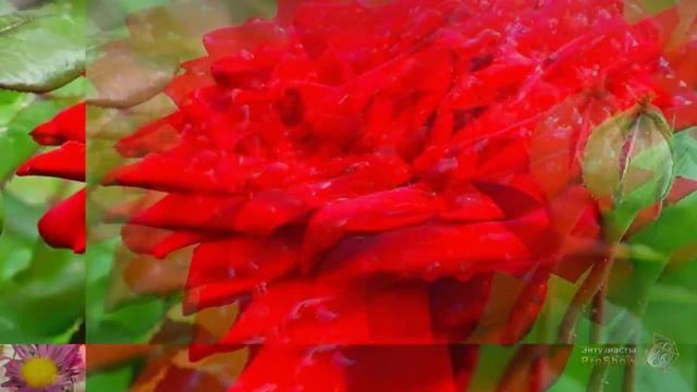 Урок- задание 10 3 смотреть онлайн