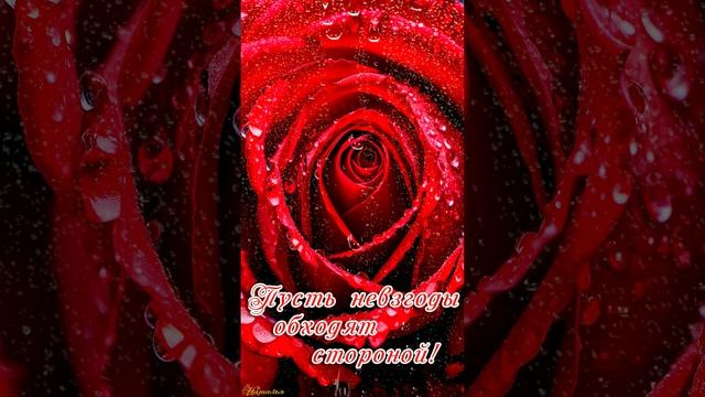 8 марта смотреть онлайн