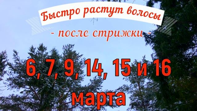 Лунный календарь стрижки Март 2022. Благоприятные и неблагоприятные дни для стрижки волос смотреть онлайн