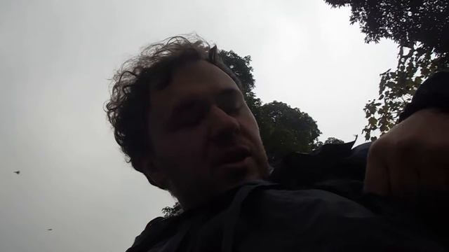 обзор еловой шишки