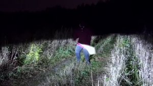 Видос ребят Морковь про