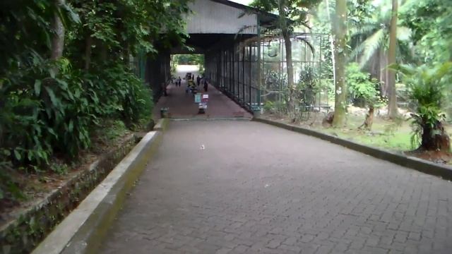 REKREASI KE KEBUN BINATANG RAGUNAN /RECREATION TO RAGUNAN ZOO смотреть онлайн