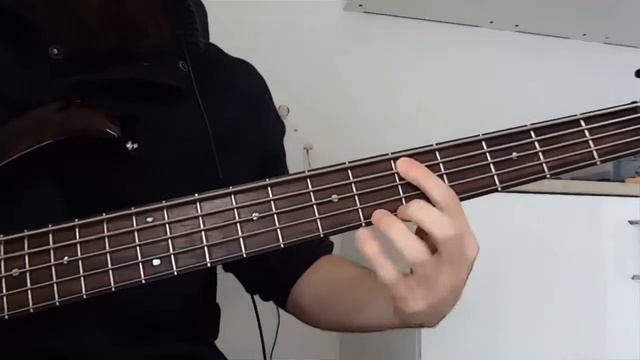 Their Dogs Were Astronauts - Neon Theatre // Bass cover // Ibanez BTB смотреть онлайн