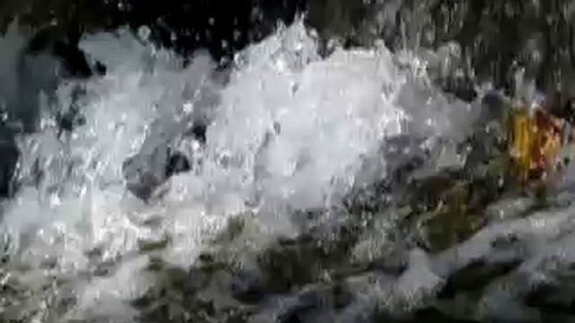 Panasonic Lumix DMC-TZ20 (High speed, 220 fps QVGA video) смотреть онлайн