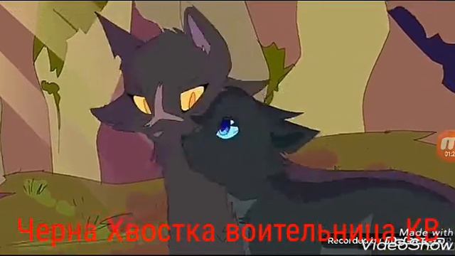 Клип я знаю это не любовь.../коты Воители смотреть онлайн