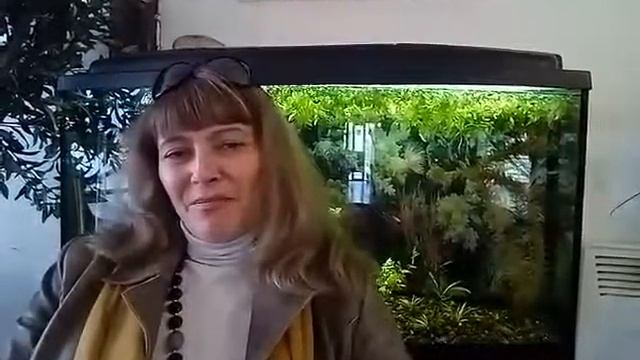 Как обнулить негативную память смотреть онлайн
