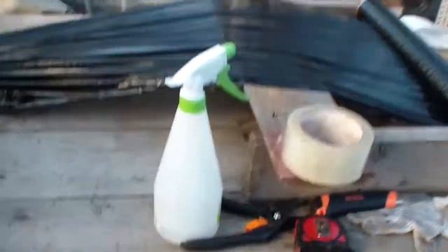 Упаковка саженцев