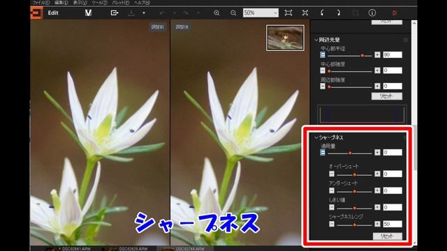【写真道楽】無料で始める #RAW現像 & #写真加工　レタッチから写真合成まで　(Imaging Edge & PhotoScape を使ってみる) смотреть онлайн