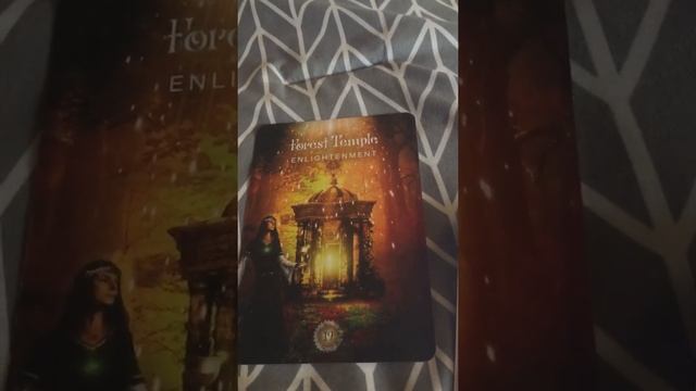 Oracle card for a viewers comment смотреть онлайн