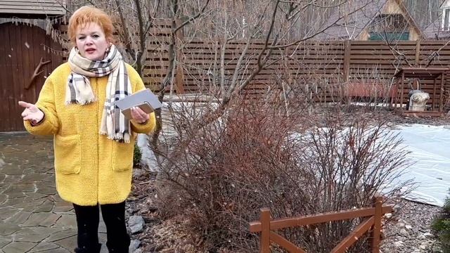 Март.Красивый Сад.Что делать?Советы.Ответы.Барбарисы.Когда стричь.Поступило Предложение"Есть Идея!! смотреть онлайн