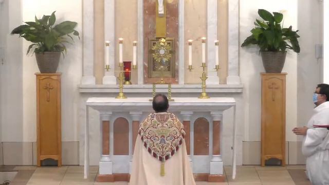 Holy Hour - Memorial of Saint Jerome, Priest and Doctor of the Church смотреть онлайн