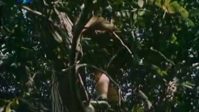 Vasko Da Gama Ot Selo Rupcha 1