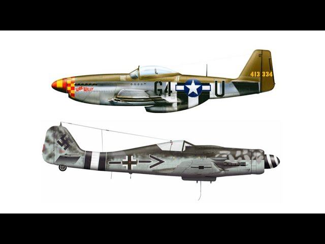 IL-2: Fw190D-9 Spin Defense