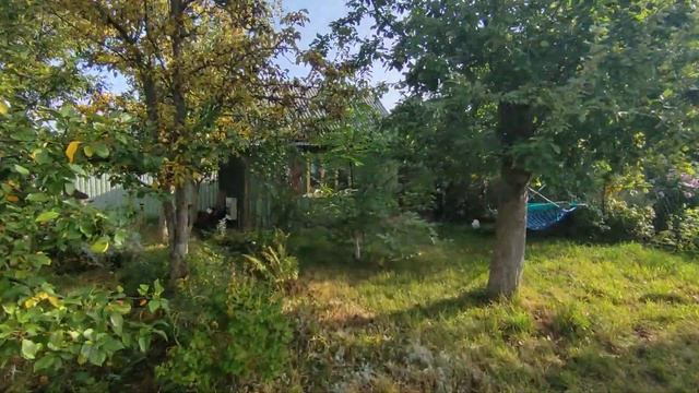 Земельный участок и дачный домик. Курортный город Пионерский. смотреть онлайн