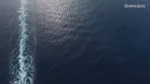Самые смелые и рискованные знаки Зодиака