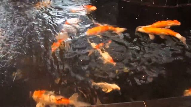 Красивые места. Аэропорт Чанги. Сингапур. Changi Airport. Singapore.