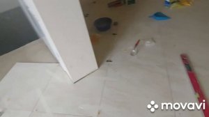 Можно ли запустить дрожжи в септик.
