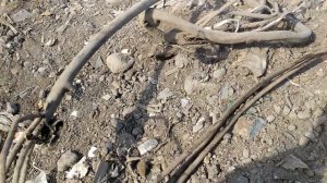 ВЫДЕРНУЛ ИЗ ЗЕМЛИ КАБЕЛЬ ГИГАНТ! ПОХОД НА СВАЛКУ! ДОБЫВАЮ АЛЮМИНИЙ! ПОИСК МЕТАЛЛОЛОМА!