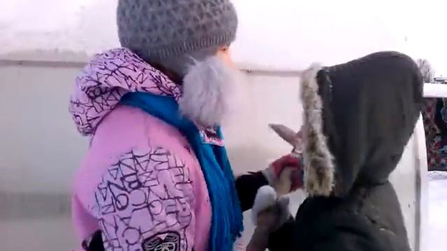 СПРАВЕДЛИВОСТЬ ЕСТЬ!!!!!! иди в скворечник! смотреть онлайн