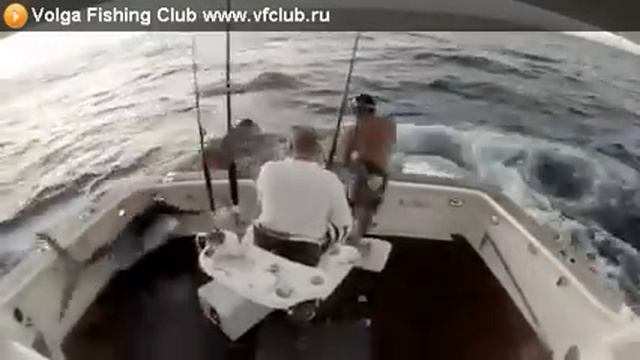 Рыба выгнала рыбака из лодки смотреть онлайн