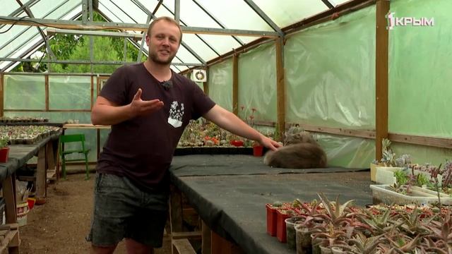 Деревенское счастье Владимира Гырли