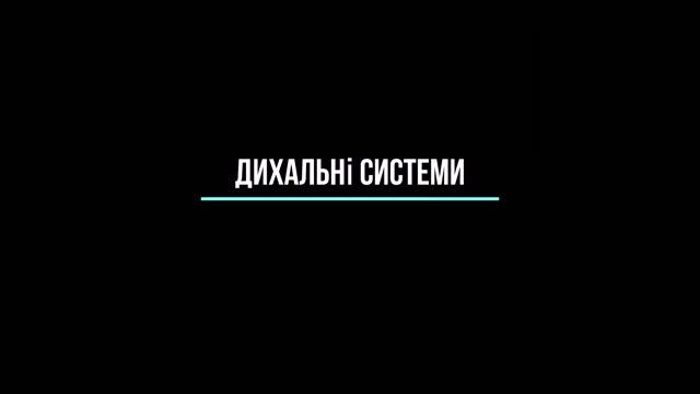 Дыхание животных / Дыхательные системы. смотреть онлайн