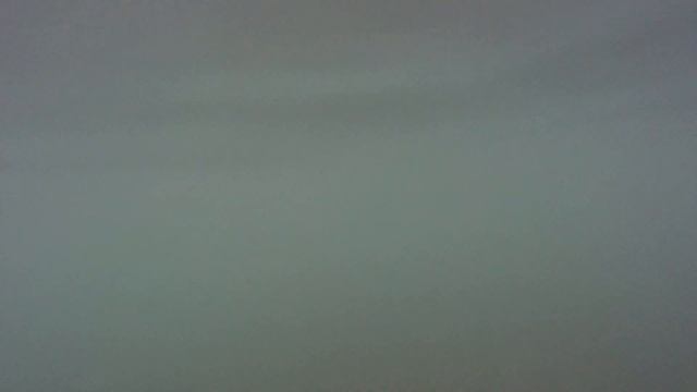 Ловлю медуз на море смотреть онлайн