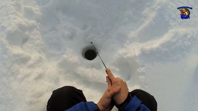 Трудовая рыбалка. Ушел от ноля) смотреть онлайн