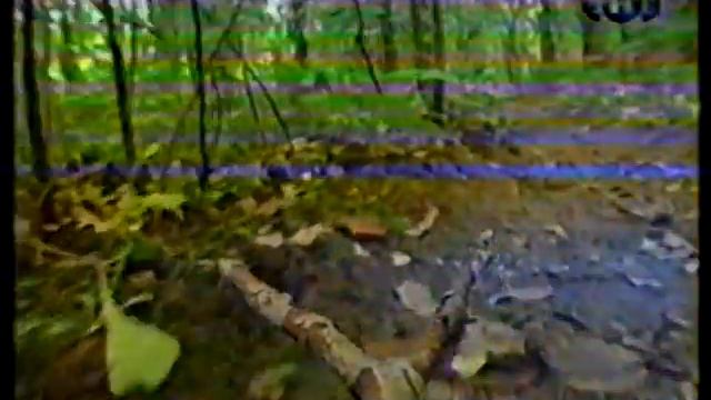 Пытливые умы - Змея (VHS-TVRip) 1997 смотреть онлайн